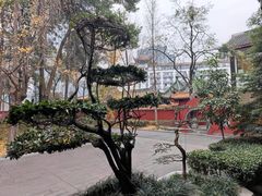 -青羊宫