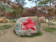 -广州市帽峰山景区