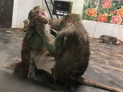 -西安秦岭野生动物园