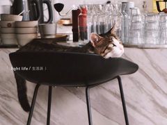 -UNI UNI(环亚凯瑟琳店)