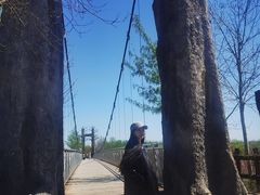 -西青郊野公园