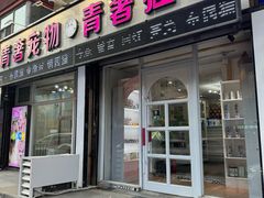 -青奢宠物·青奢猫舍