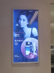 点击看大图 -WENDY·温迪皮肤管理