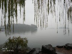 -西湖外事游船(花港观鱼码头)