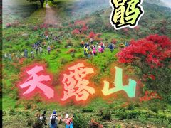 -广东天露山旅游度假区