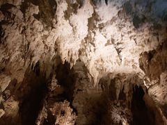 -怀托摩萤火虫洞