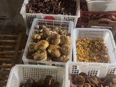 -草墩罗非鱼庄•野生菌•腊排骨(七星街上段店)