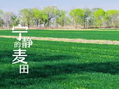 -西青郊野公园