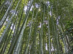 -汇龙潭