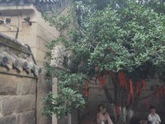 -崂山仰口游览区