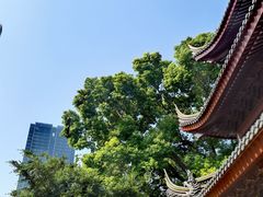 -下海庙