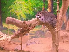 -正佳雨林生态植物园
