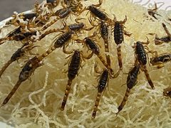 -二当家山庄(崮五路店)