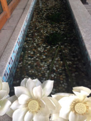 iphone_upload_pic-依莲SPA