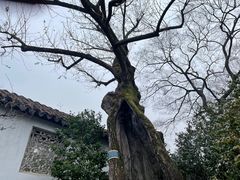 -西园戒幢律寺