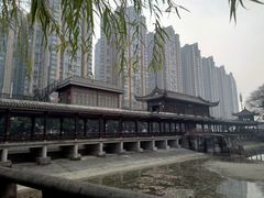 -温江公园