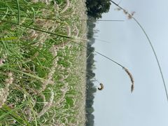 -汉长安城未央宫国家考古遗址公园