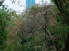 -人民公园(罗湖区)