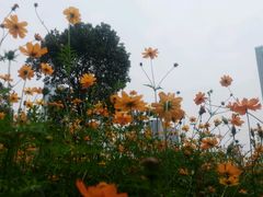 -艾溪湖湿地公园