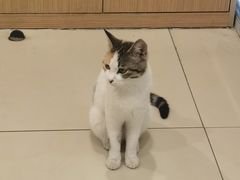 -美迦爱-牙专科·兔科·骨科诊疗中心(北苑店)