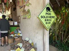 -大象粑粑造纸公园