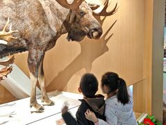 -陕西自然博物馆