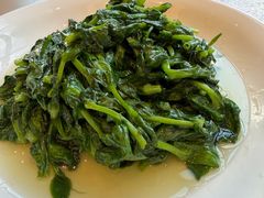 清炒高山豆苗-新南华大酒店(长寿店)