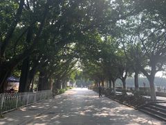 -黄埔古港