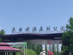 -黄海国家森林公园