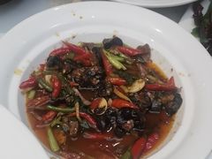 -院8里·少城记忆老川菜(宽窄巷子店)