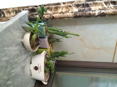 枕水度假酒店-乌镇枕水度假酒店