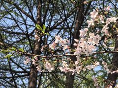 -星湖街(地铁站)