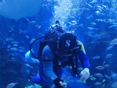 -海合安成都极地海洋公园