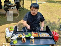 -春花秋色城市公园
