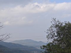 -田心森林公园