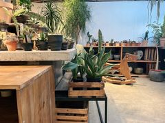 -自由生长植物工作室(深港花卉中心店)