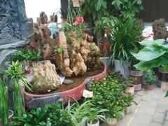 -秦美花卉(天朗·莱茵小城2期店)