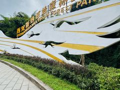 -西双版纳原始森林公园