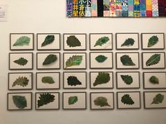 -金泽21世纪美术馆