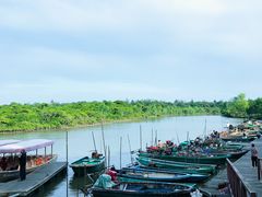 -东寨港红树林旅游区