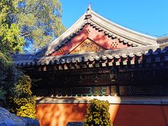 -香山公园