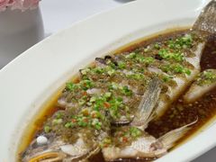 黄唇米鱼-西郊壹号
