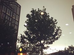 -星巴克臻选(北京太阳宫凯德店)