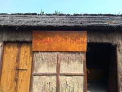 -泗洪洪泽湖湿地景区