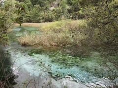 -九寨沟-树正沟