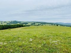 -塞罕坝国家级自然保护区