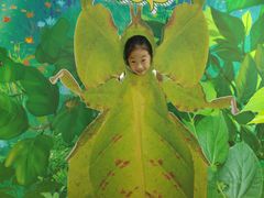 -上海昆虫博物馆