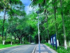 -东莞植物园