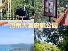 -亚龙湾热带天堂森林公园