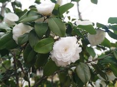 -江南大学(蠡湖校区)